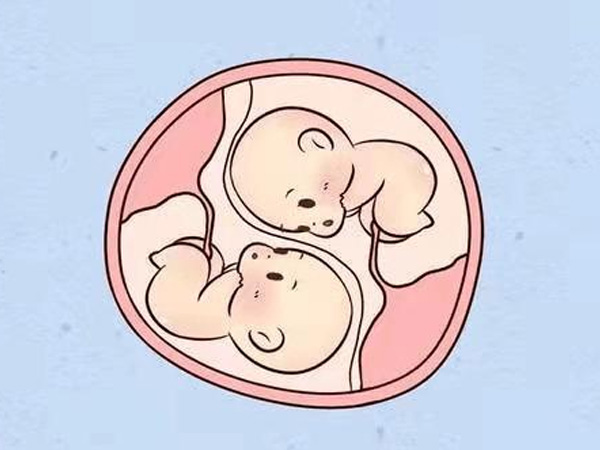 马来西亚一次三代试管婴儿的费用多少钱？