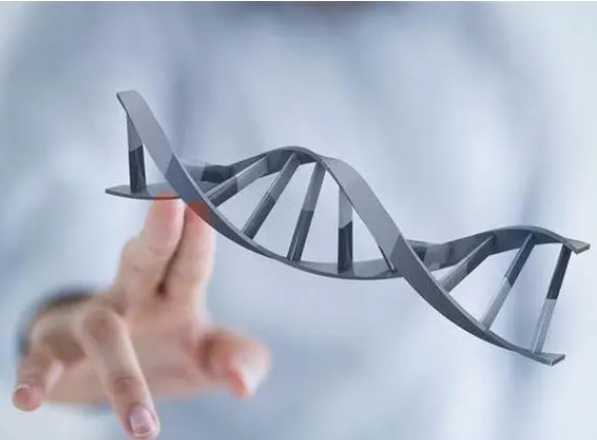 去哈萨克斯坦Plivat医院做试管比较好的中介有哪家？