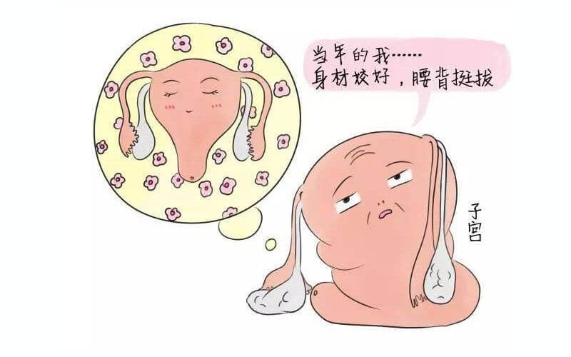 美国试管婴儿技术优势