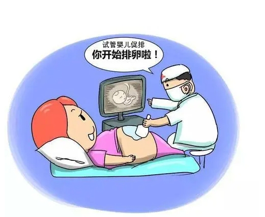 赴柬埔寨做试管婴儿要多少钱？这份最新费用清单可参考