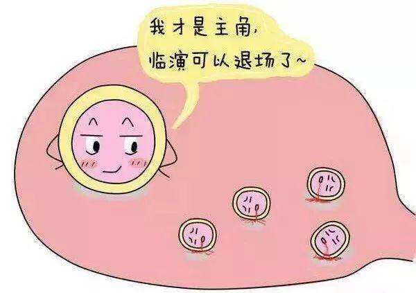 北京三代试管婴儿费用详解，全面剖析与估算