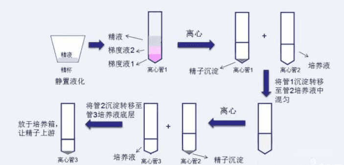 马来西亚试管婴儿正规国内服务中介