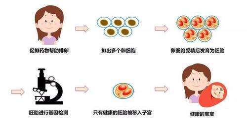 美国试管婴儿机构有哪些？如何选择合适的医疗机构