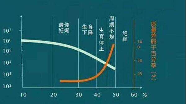 不孕难题有解！美国三代试管婴儿公司显实力