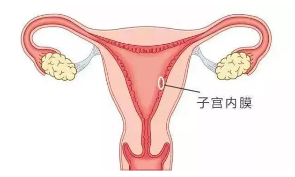 试管知识—试管婴儿成功率有多少？