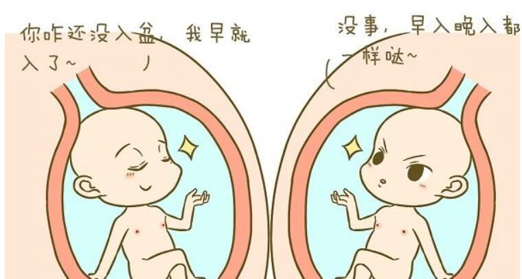 做试管婴儿心理压力大？战胜压力全靠它们