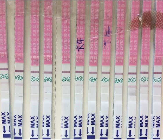 泰国试管婴儿前准备全攻略，提升成功率的关键步骤