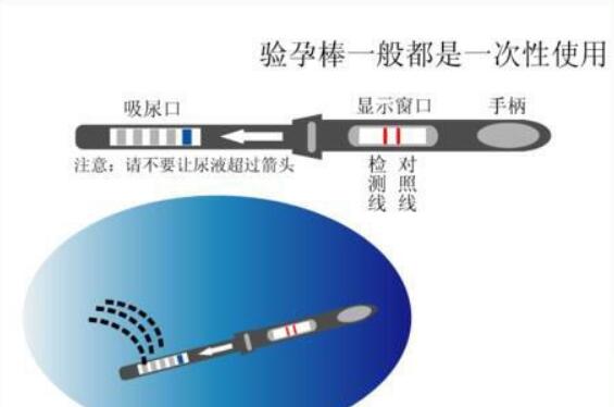 卵泡满足这些条件，做试管婴儿更容易成功