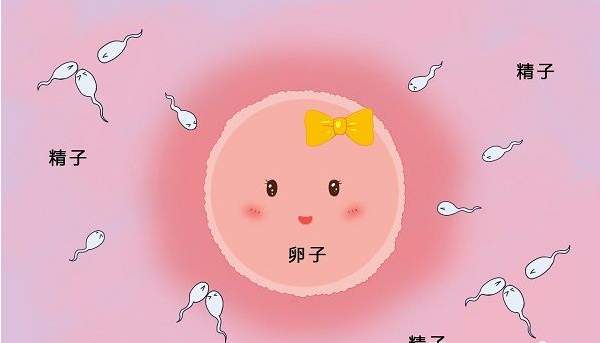东莞市做试管婴儿第3代要准备多少钱？