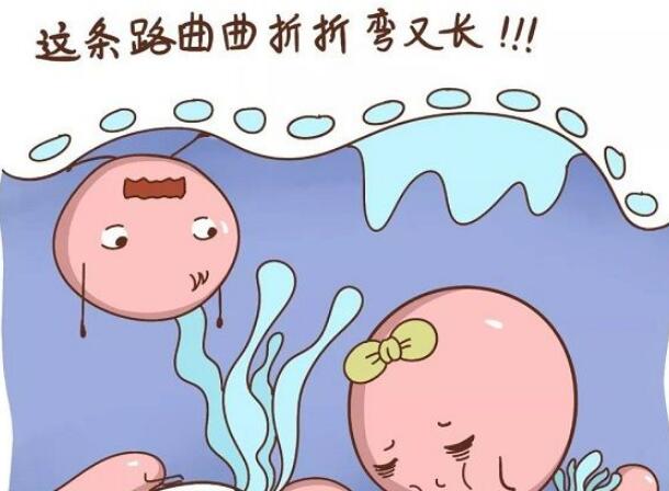 美国三代试管婴儿费用全解析，为何费用成为关注焦点？