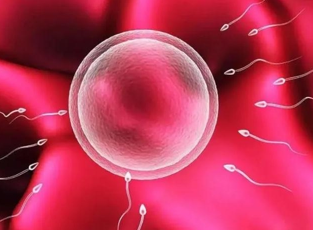 哈萨克斯坦三代试管婴儿费用概览及主要支出解析