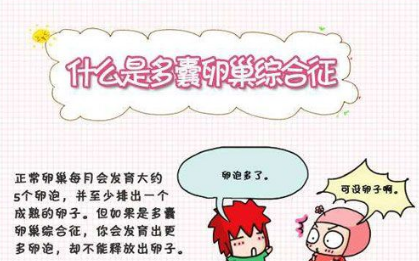 泰国试管婴儿胚胎质量好，就一定会成功吗？
