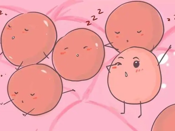 为什么去日本做试管？揭秘日本试管婴儿技术的优势