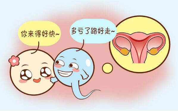 泰国试管婴儿总费用多少   泰国试管婴儿成功率高吗