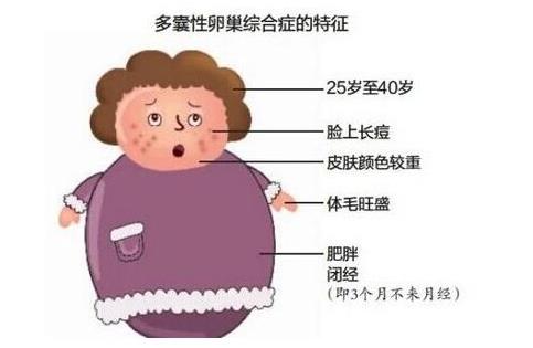 到美国做三代试管婴儿的步骤及详细过程
