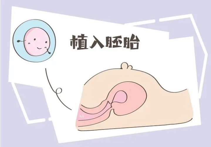 美国三代试管婴儿费用过程呢？