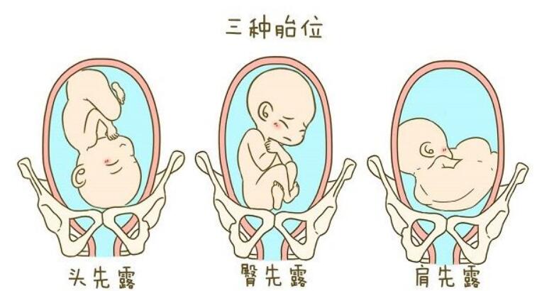 哈萨克斯坦三代试管婴儿流程全解析