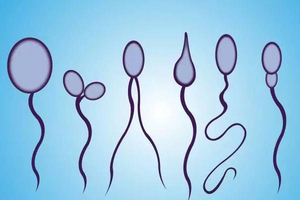 精子密度下降能不能做三代试管?去国外做成功率更高吗？