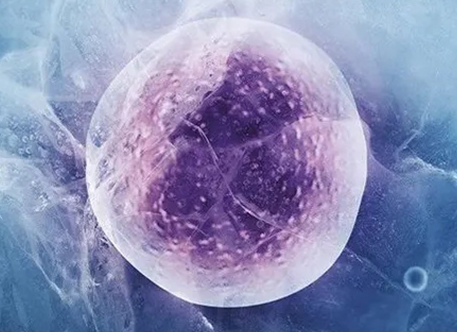 盆腔炎在乌克兰做试管能一次成功吗？价格贵不贵 ？