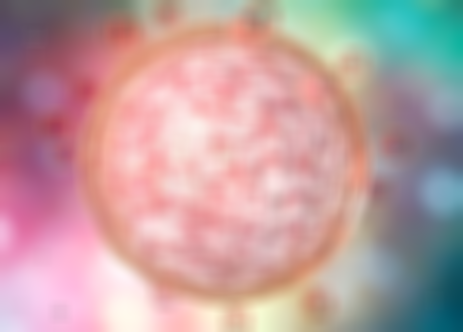 21.png